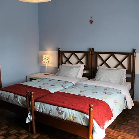 Guest Tavira